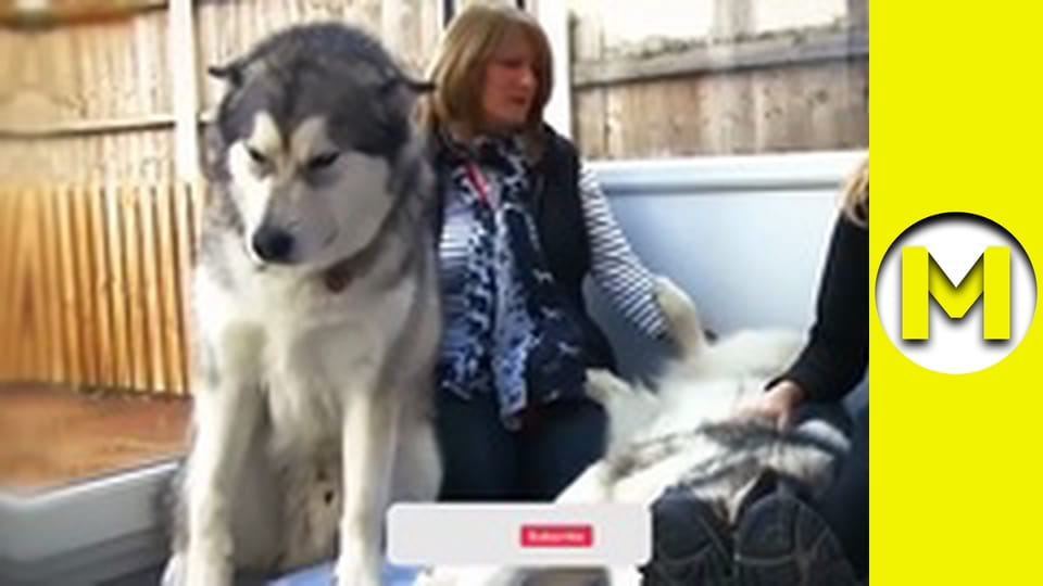 Max TV - season 2 - episode 49