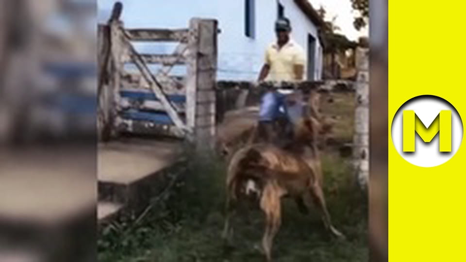 Max TV - season 2 - episode 49