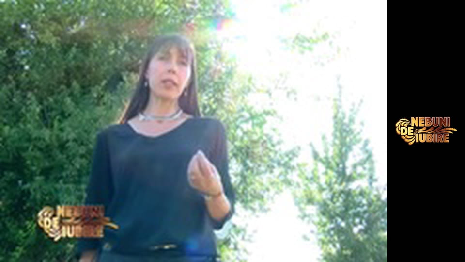 Nebuni de iubire Sezon 1 Episod 13