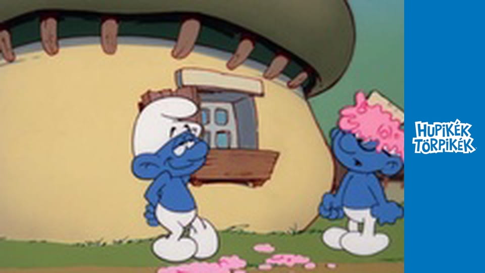 A varázsló tanonc / A hiúság ára