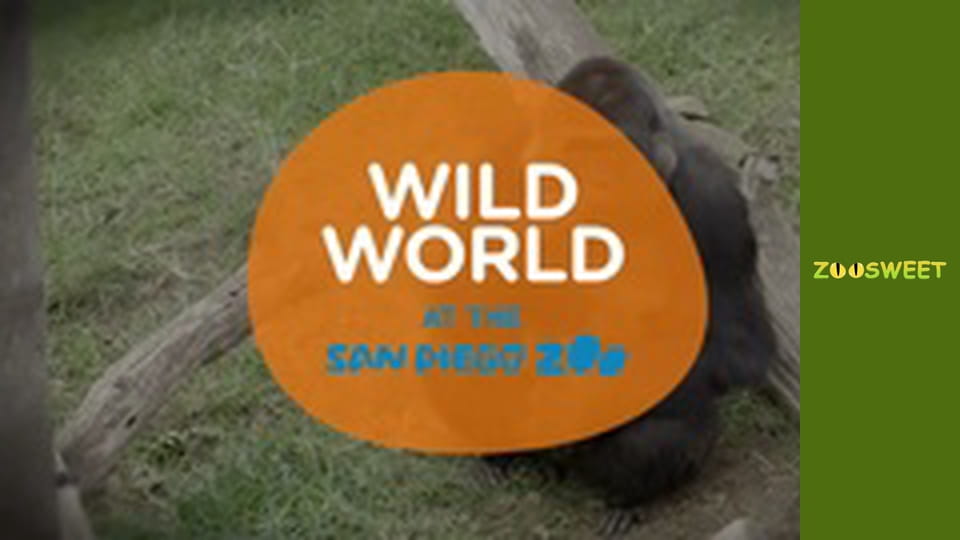 Wild World at the San Diego - episode 18