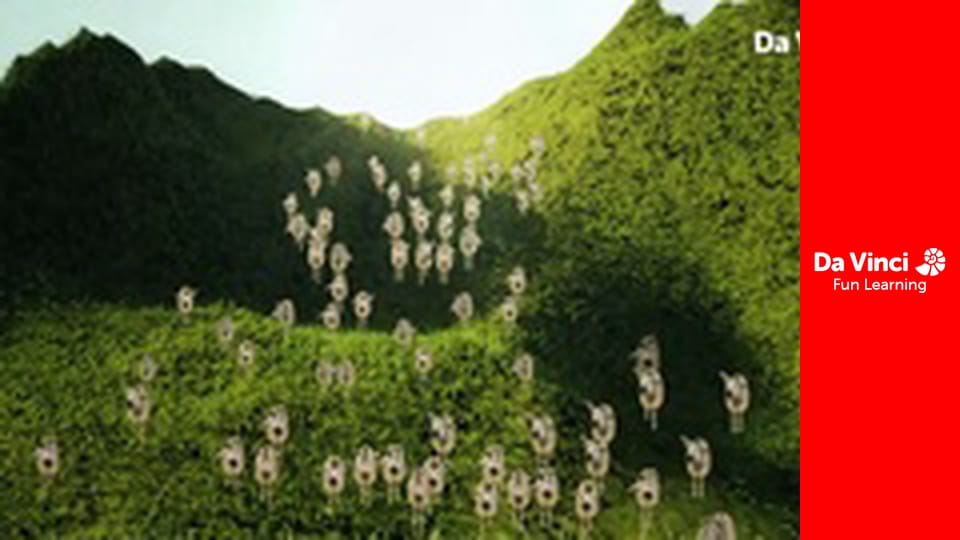 Siyaya - Sălbăticia din Cape - Păsări la conducere