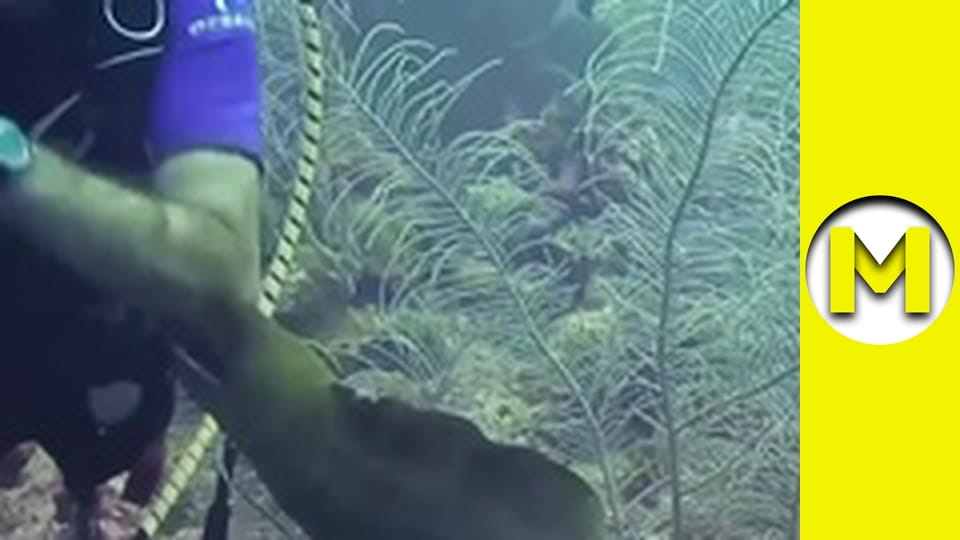 Max TV - season 1 - episode 96