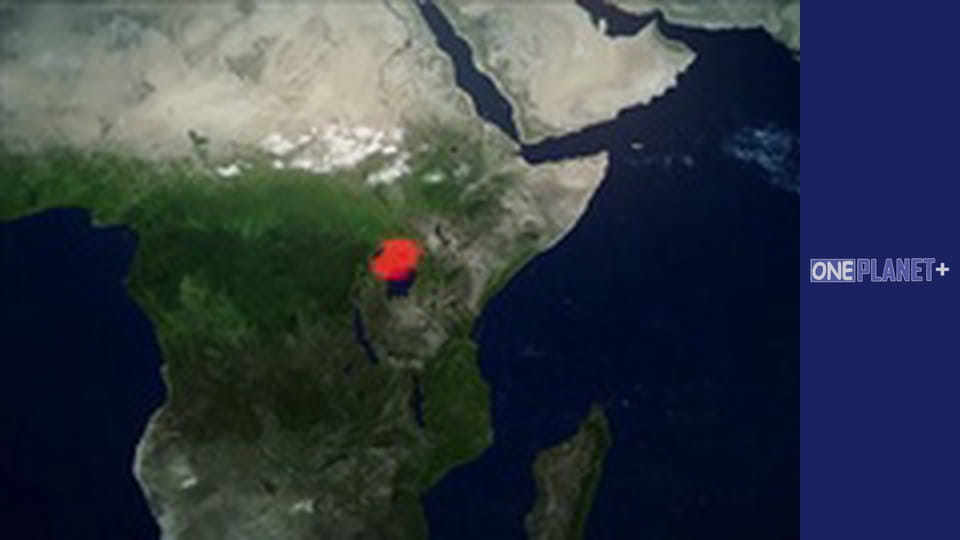 In search of knowledge. - episode 20