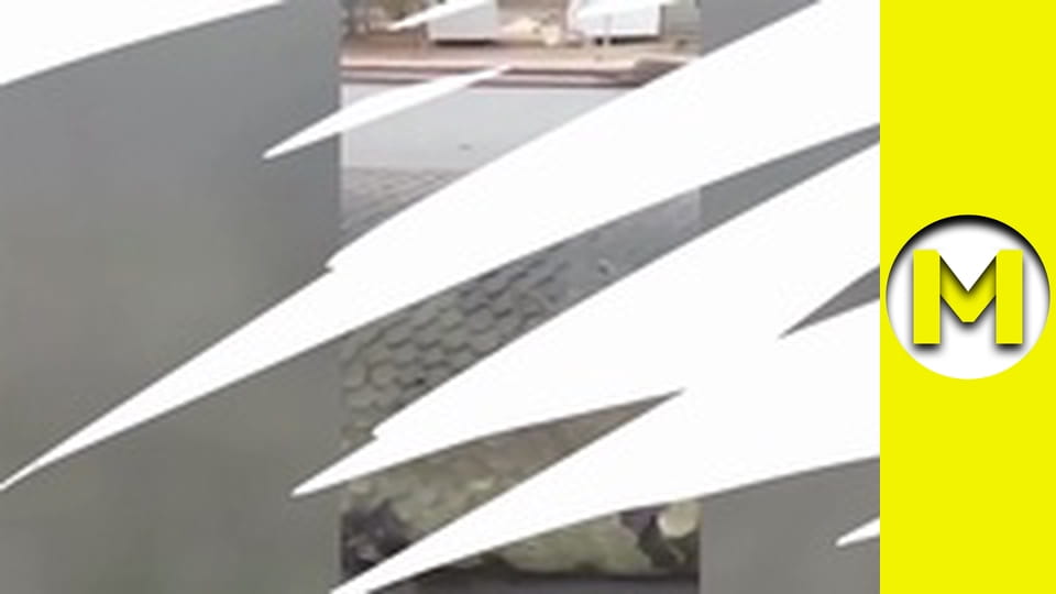 TOP (Max TV) - season 3 - episode 12