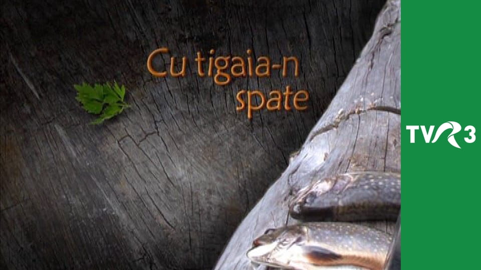 Cu tigaia-n spate