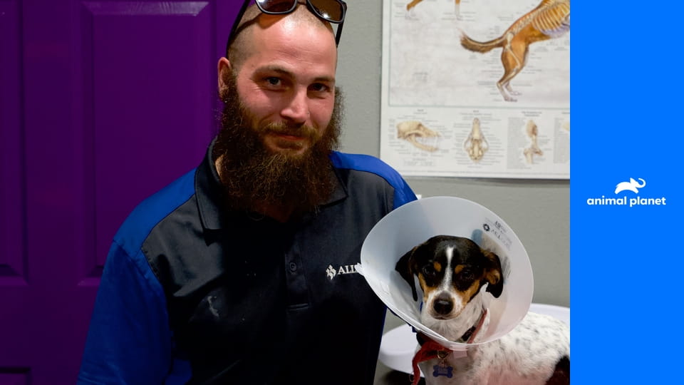 Dr. Jeff: Veterinář ze Skalnatých hor S3E3