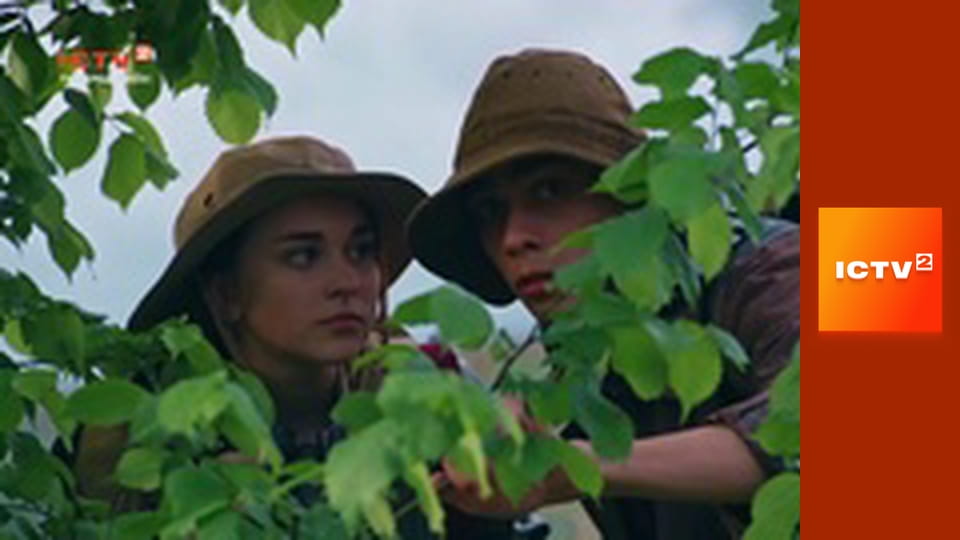 Т/с "Топтун", 17-26 с.