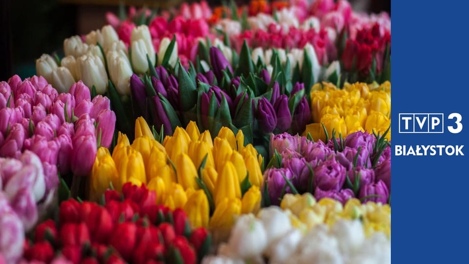 Kwiaty na warsztat S2E12 - Dekoracja z naturalnych elementów na świąteczny stół