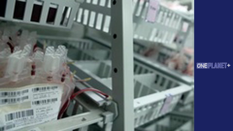 In search of knowledge. - episode 10