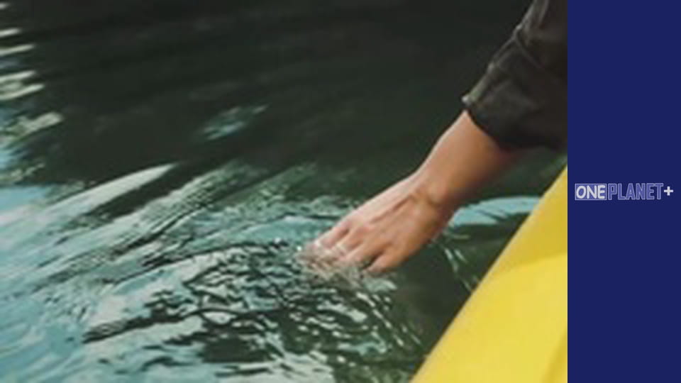 It is worth visiting. - episode 17