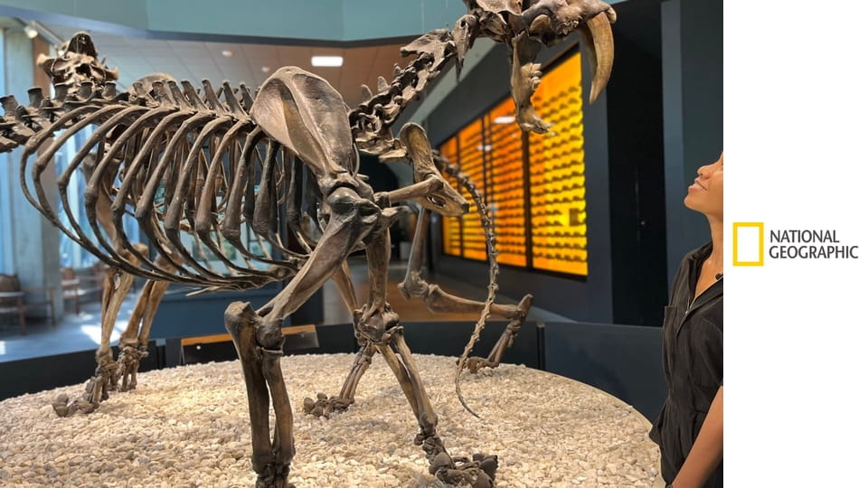 Elveszett vadak: Előásva S1E2 - A gyilkosbálna titkai