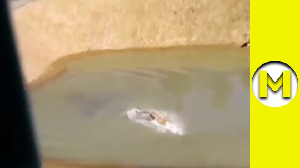 Max TV - season 1 - episode 129