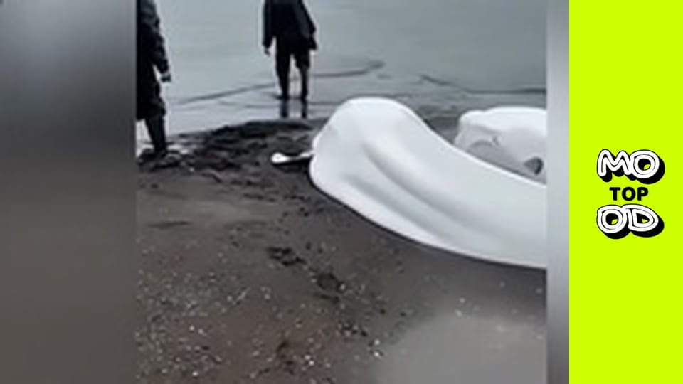 TopMood Season 4 Episode 26