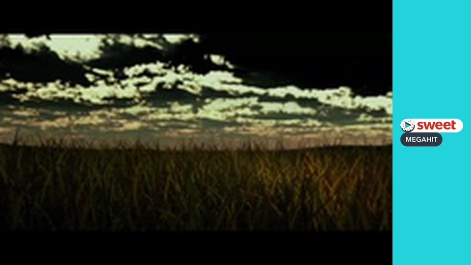 Вулиця Монстро, 10