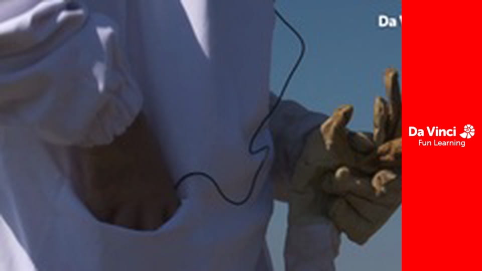 Futuris - Observare globală