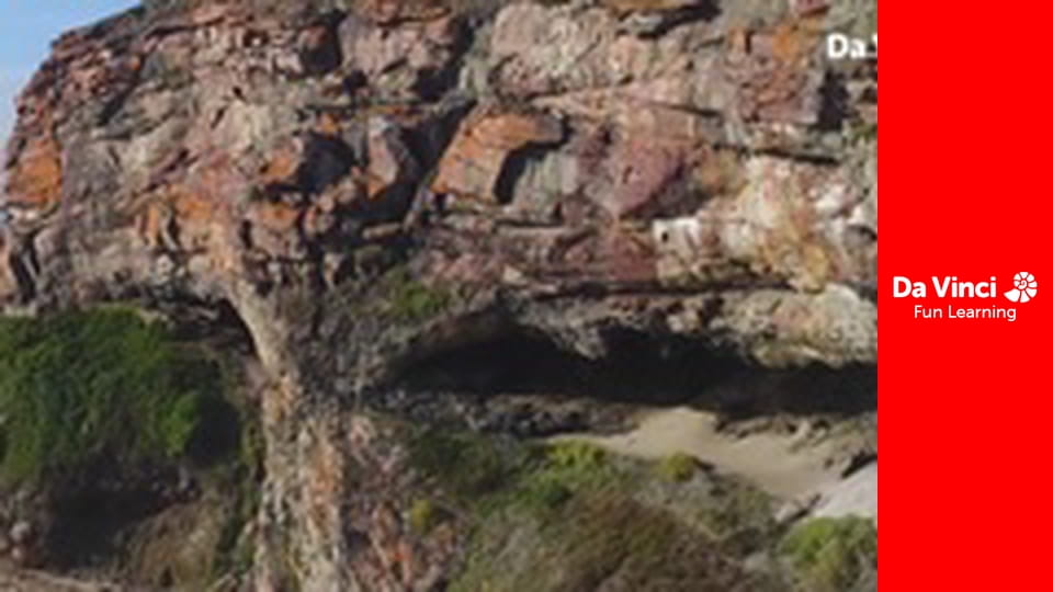 Siyaya: najdzikszy przylądek - Robberg: nauka przetrwania