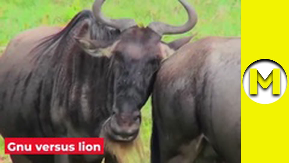 Max TV - season 1 - episode 3