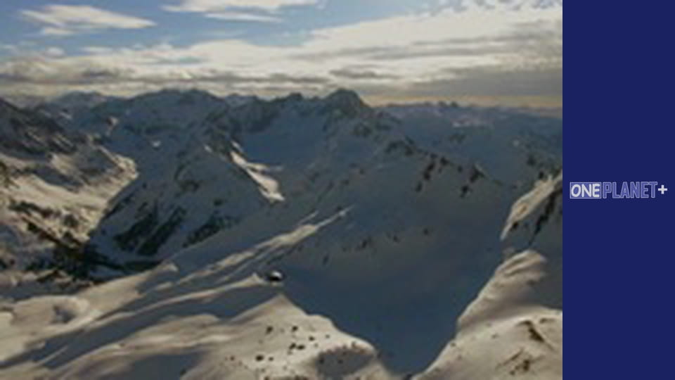 In search of knowledge. - episode 23