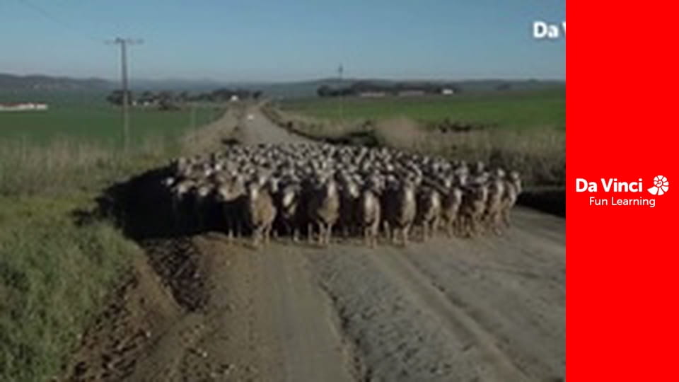 Siyaya - Wildest Cape - De Hoop - Place Of Hope