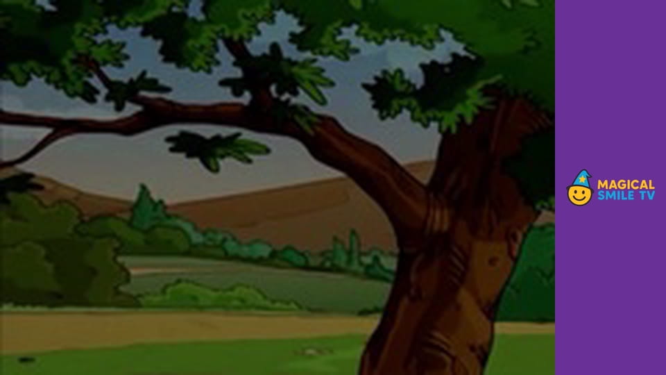 The Winner takes all