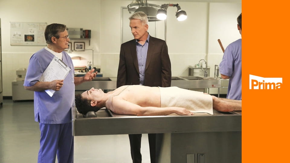 Námořní vyšetřovací služba S16E11 - Dřina a potíže