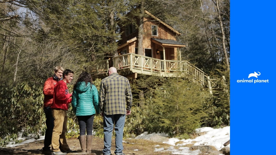 Odborníci na domy v korunách stromov S3E3 - Najskvelejší dom v korunách