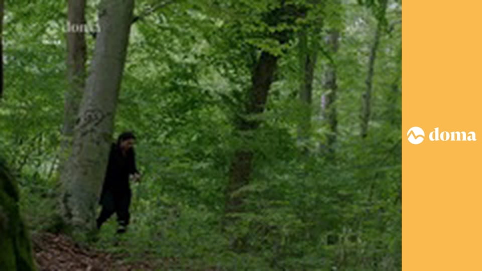 Neskrotné srdce E113