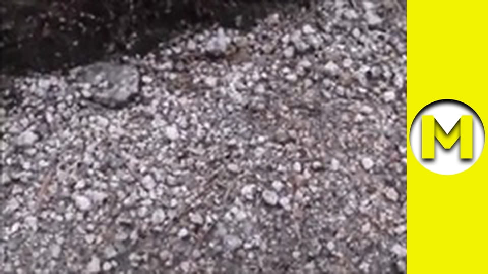 Max TV - season 1 - episode 10