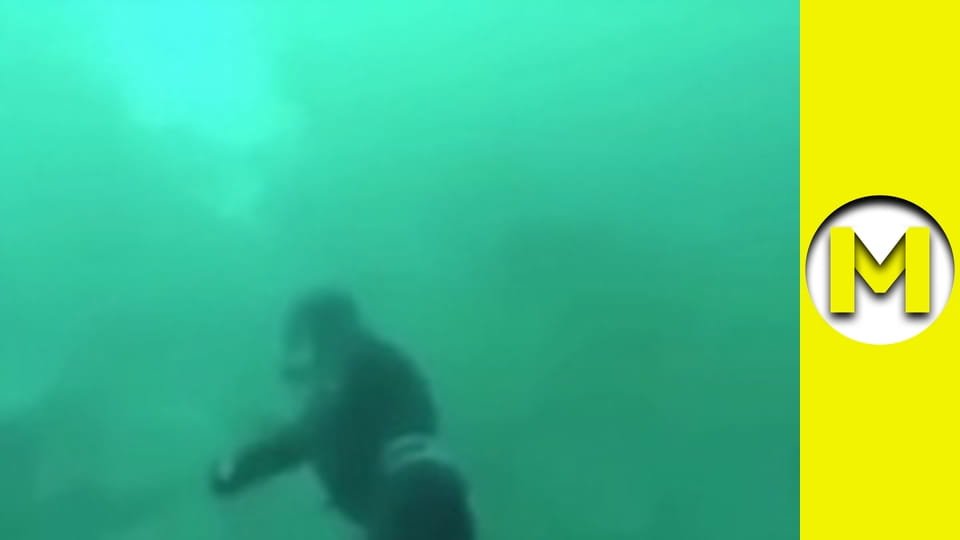 Max TV - season 1 - episode 79