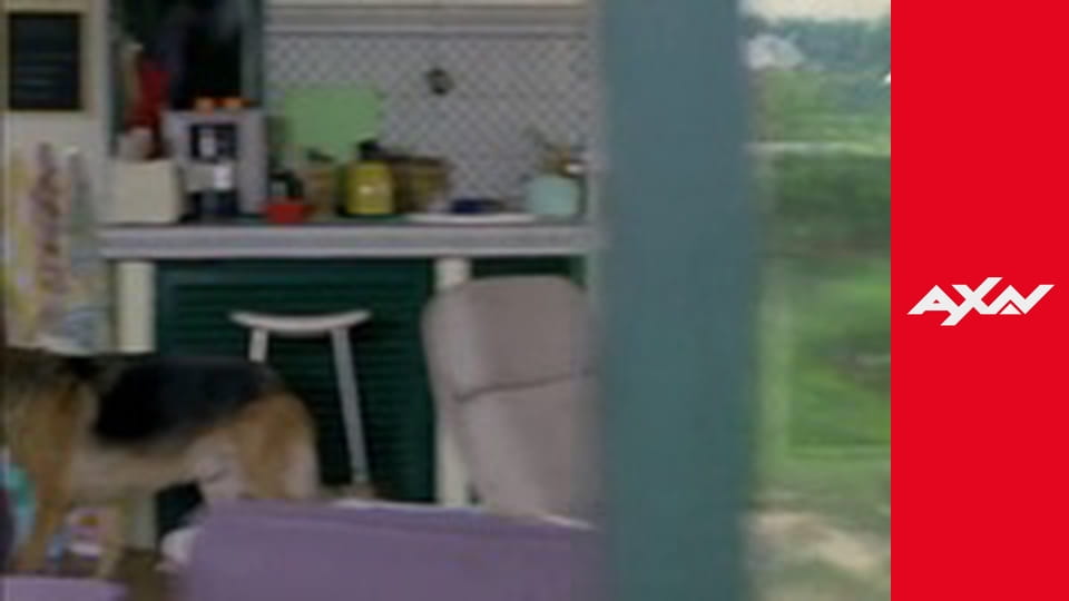 Rex: A Cop's Best Friend X. S10E7 - Kommissar Rex 10007 - L'ULTIMA SCOMMESSA