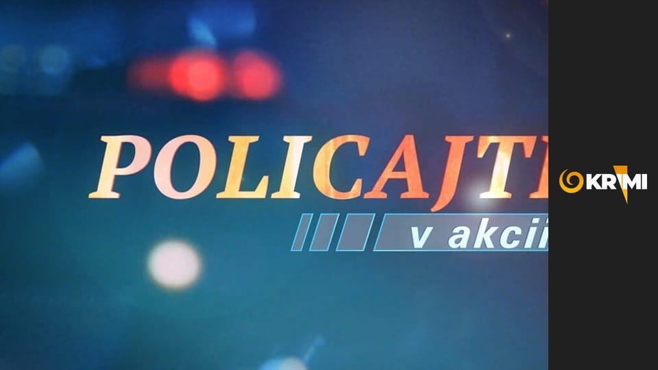 Policajti v akcii