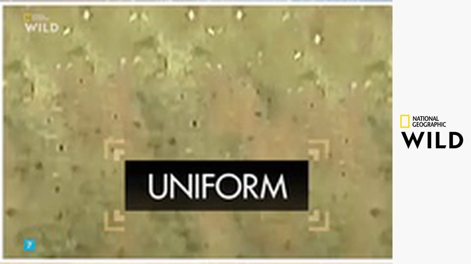 Кто-то меня укусил S1E2