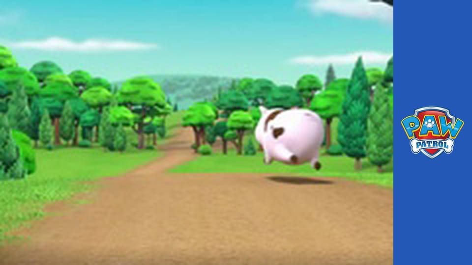 Paw Patrol Season 2 Episode 17