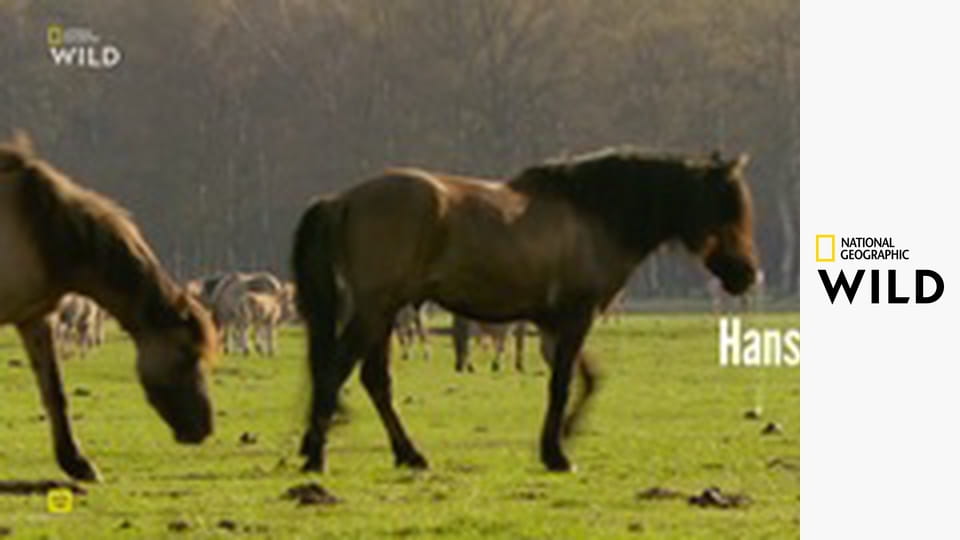 Inštinkty zabijaka (3)