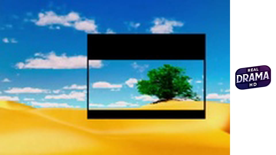 Ден на подбора