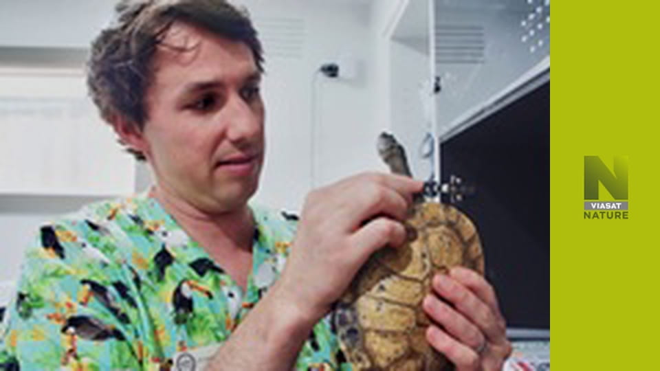 Veterinári pre nezvyčajné domáce zvieratá (1)