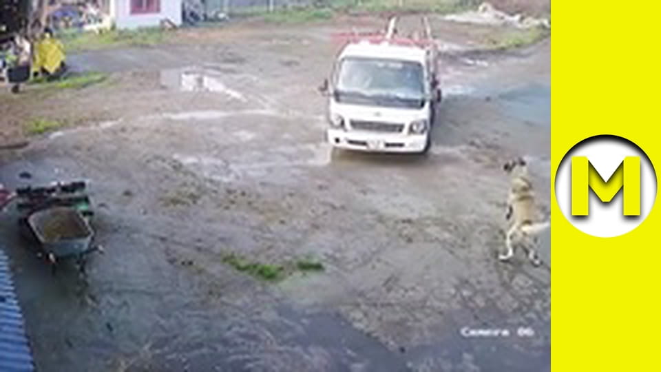 Max TV - season 1 - episode 80