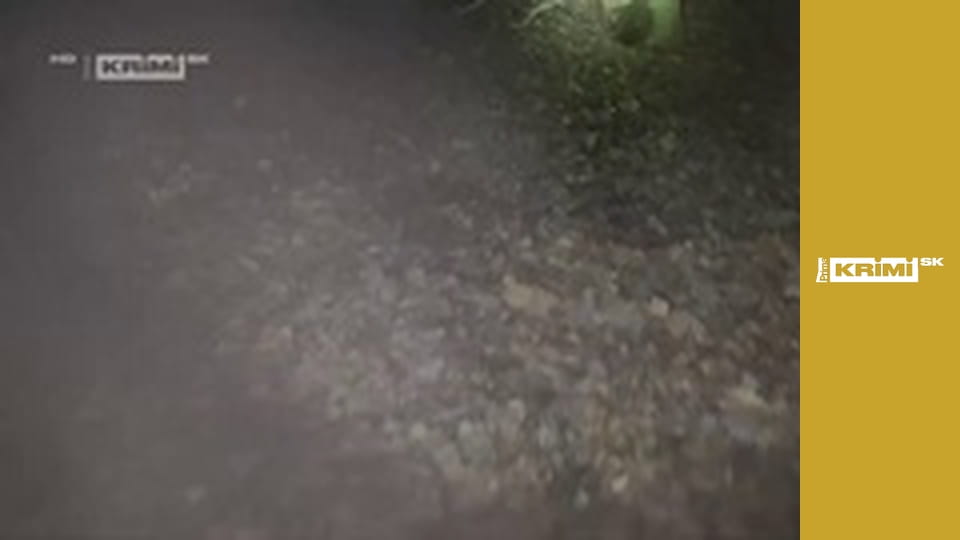 Nočné dobrodružstvo