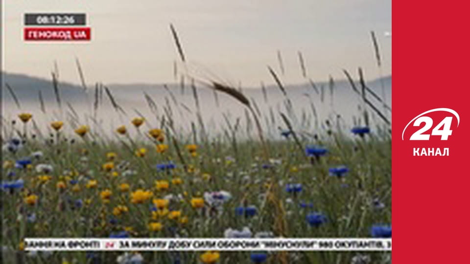 Реалії. Все про війну