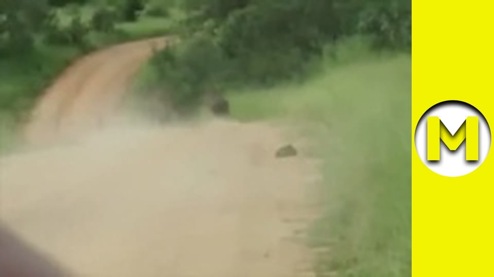 Max TV - season 1 - episode 92