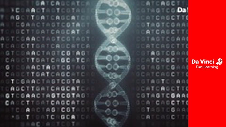 Searching for Superhuman - The Code of Us