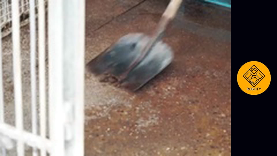 SPRAWDZIŁEM JAK WYGLĄDA PRACA W SCHRONISKU