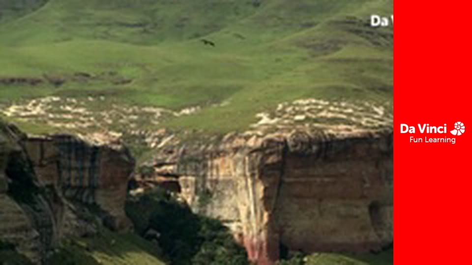 Siyaya - Come Wild With Us - The Golden Gate