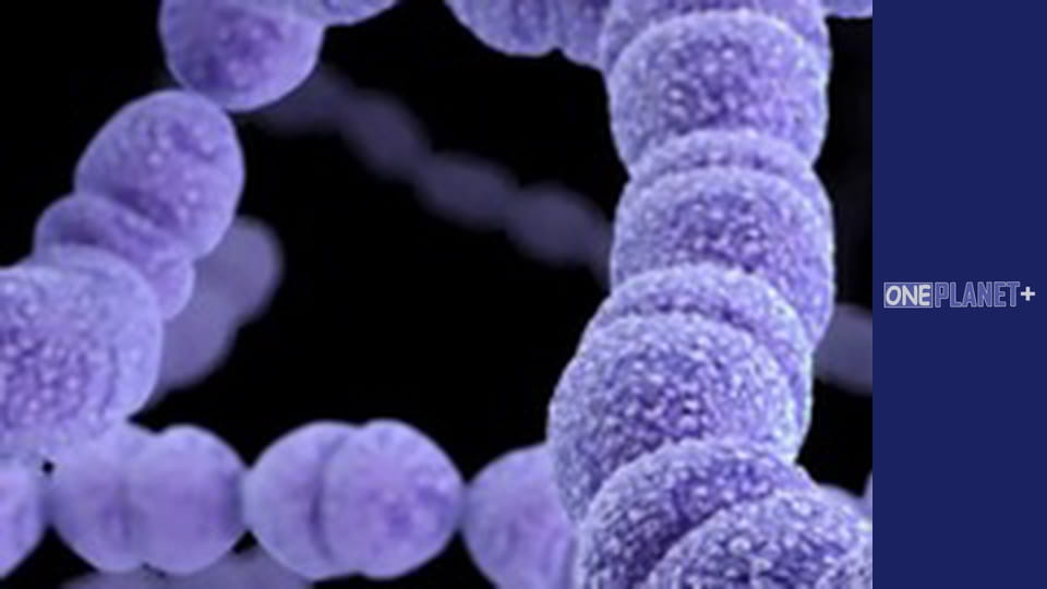 In search of knowledge. - episode 11