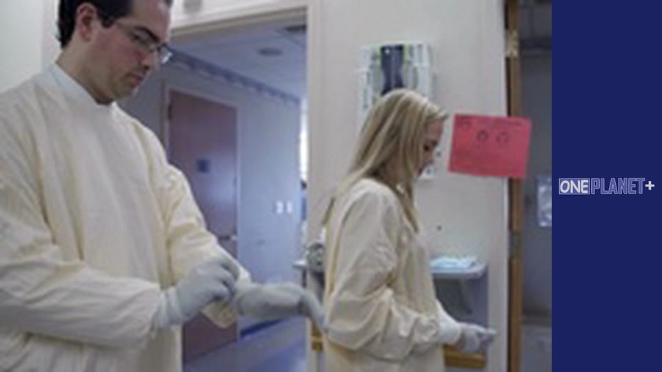 У пошуках знань. - серия 11