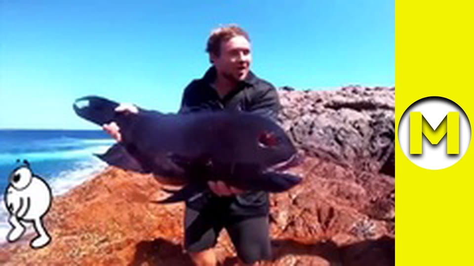 Max TV - season 2 - episode 3