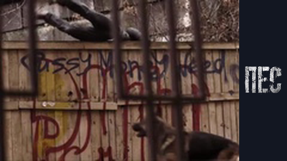 Пес, Сезон 2, Серія 20