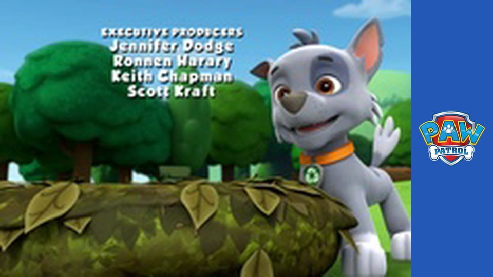 Paw Patrol Season 1 Episode 5