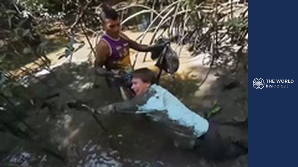 Journey to Marajó island and mangrove crab hunting. Brazil.